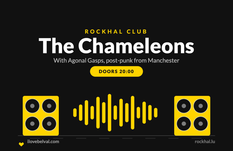 The Chameleons at Rockhal, Belval