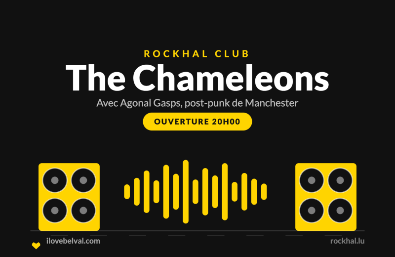 The Chameleons à la Rockhal, Belval